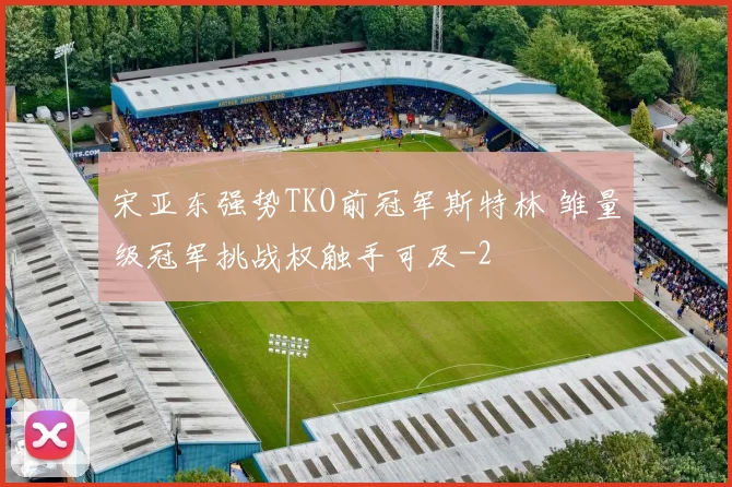 宋亚东强势TKO前冠军斯特林 雏量级冠军挑战权触手可及