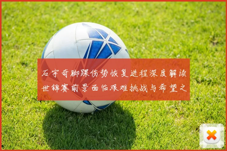 石宇奇脚踝伤势恢复进程深度解读世锦赛前景面临艰难挑战与希望之光