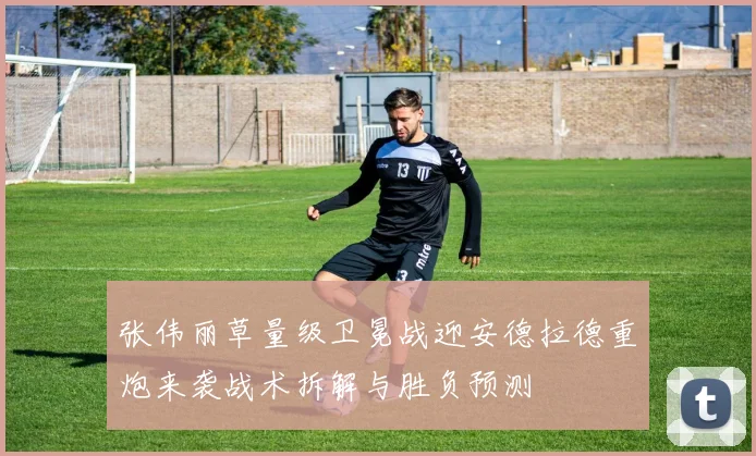 张伟丽草量级卫冕战迎安德拉德重炮来袭战术拆解与胜负预测