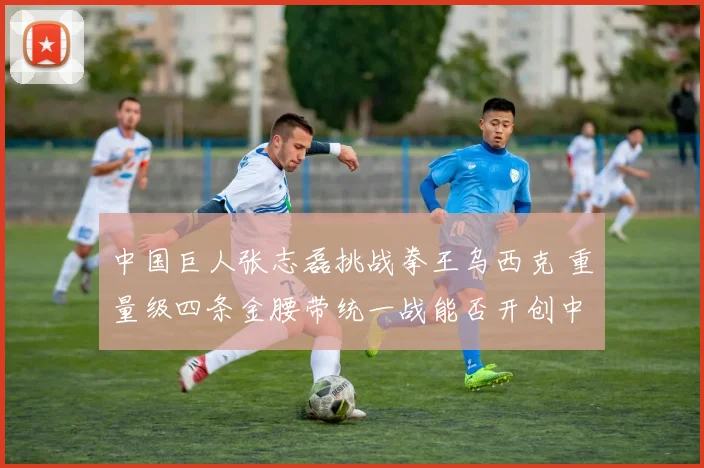 中国巨人张志磊挑战拳王乌西克 重量级四条金腰带统一战能否开创中国拳击历史新纪元