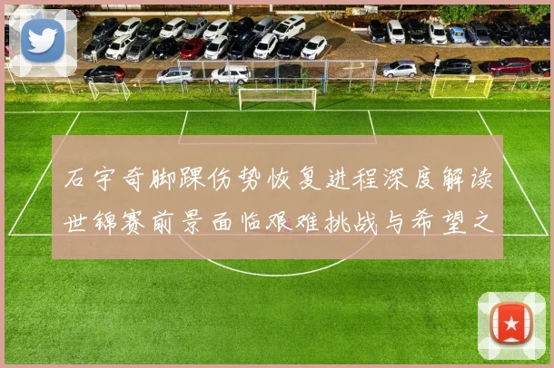 石宇奇脚踝伤势恢复进程深度解读世锦赛前景面临艰难挑战与希望之光